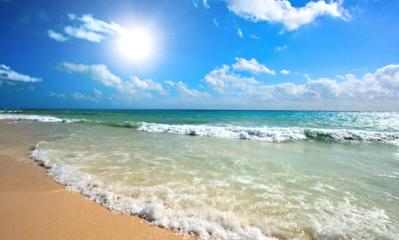 Sunny Beach Plaza 33 Studio Zewnętrze zdjęcie